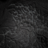 SIGIL EMBROIDERED HOODIE