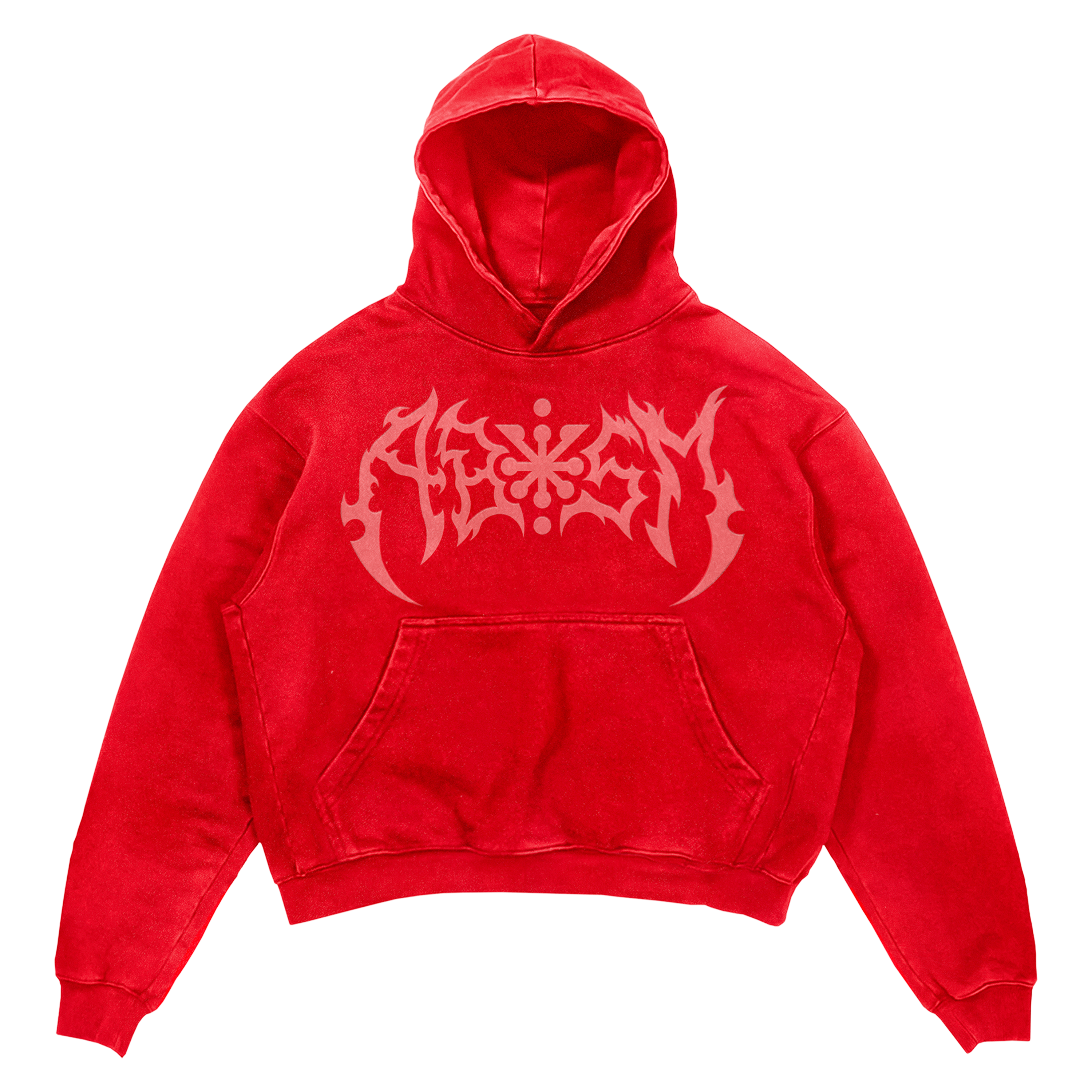 ABYSM MONOCHROME "RED" HOODIE